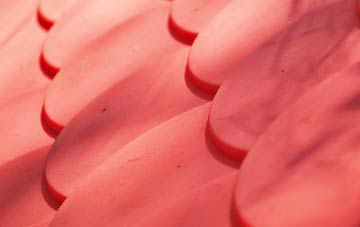 Tanden plastic roof costs