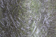 Tanden fibreglass roof work